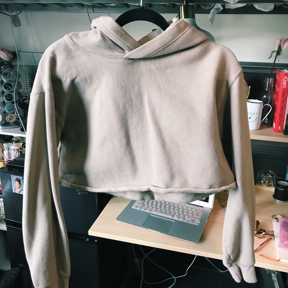 Aritzia / TNA The Perfect Cropped Hoodie